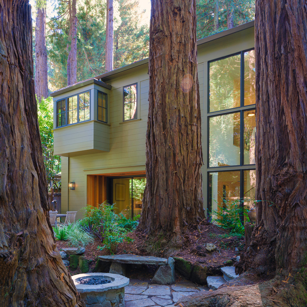 Modern Mill Valley home renovation nestled among redwood trees featuring sage green siding, cedar accents, floor-to-ceiling windows, and indoor-outdoor living spaces