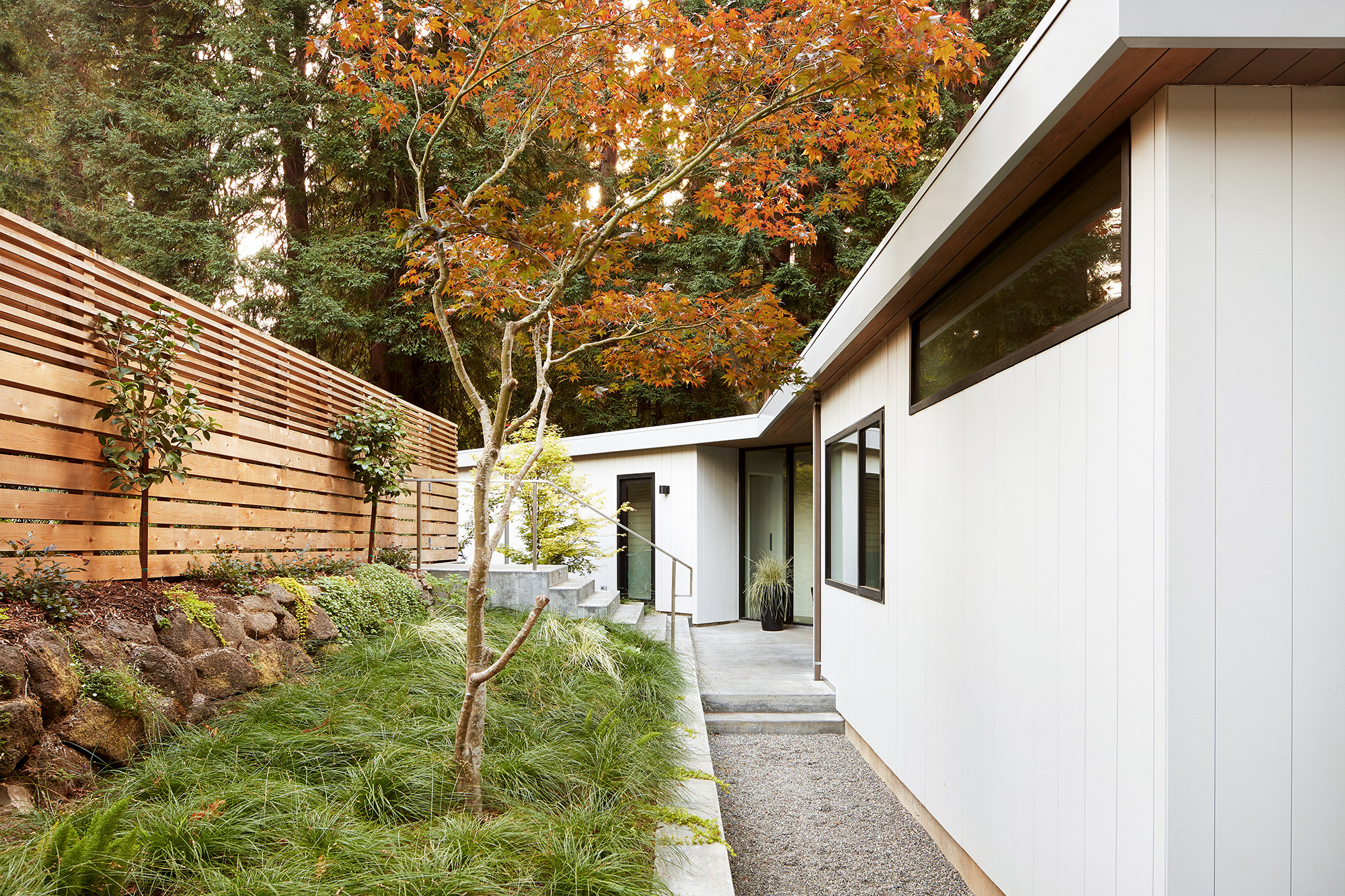 Old Mill — custom residential architecture by OXBStudio Architects, Marin County (photo 3)