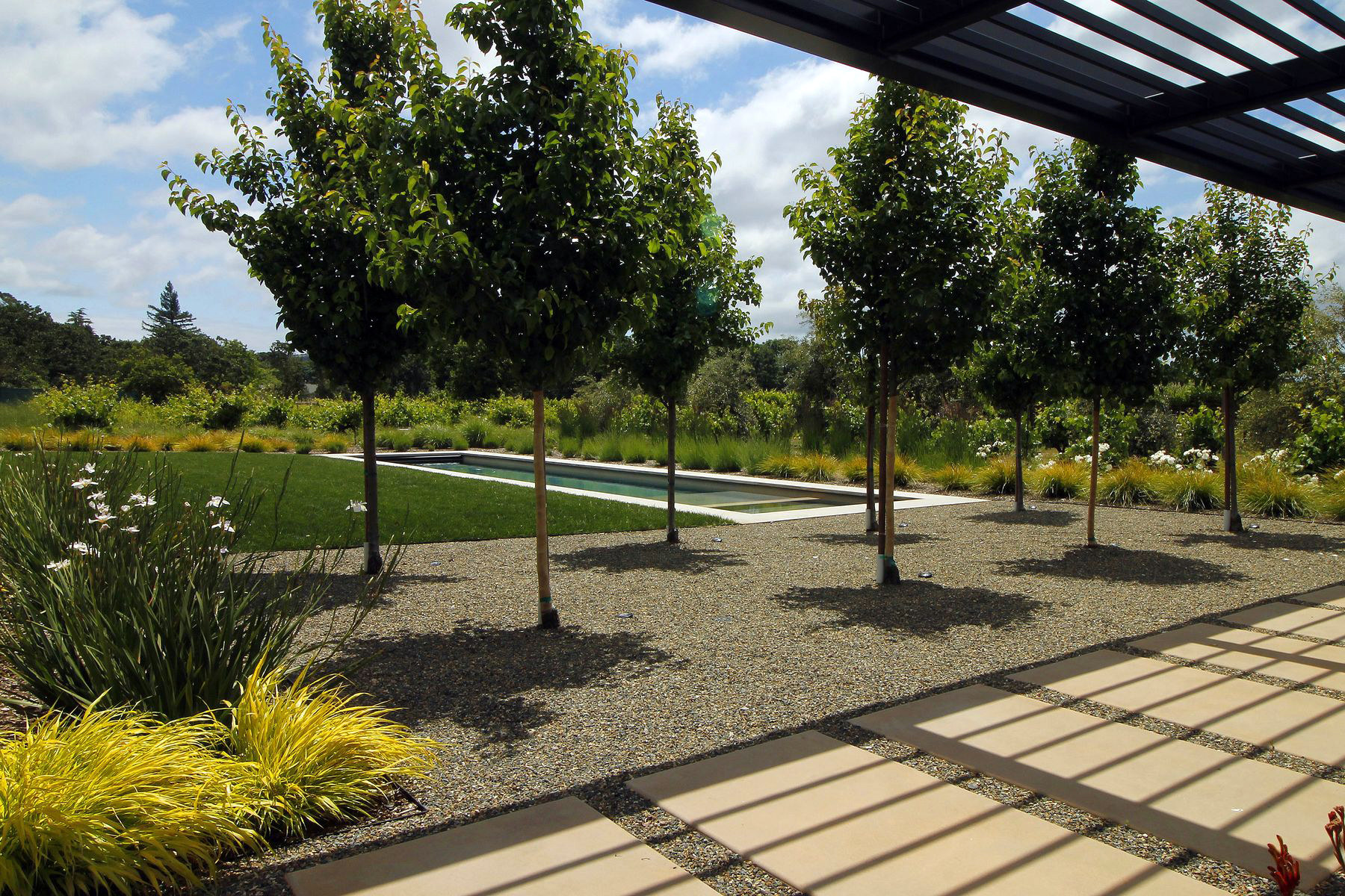 Sonoma — custom residential architecture by OXBStudio Architects, Marin County (photo 7)