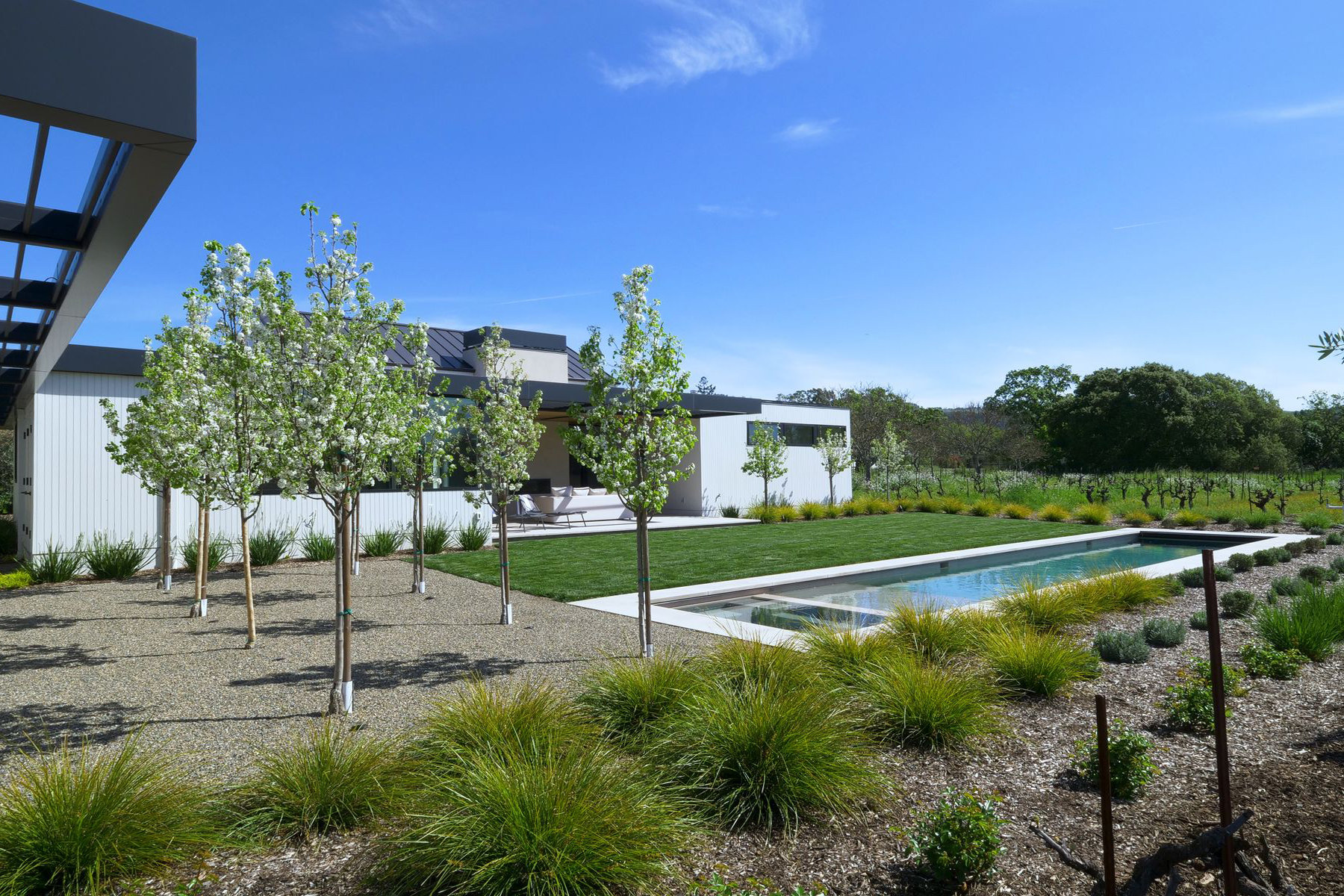 Sonoma — custom residential architecture by OXBStudio Architects, Marin County (photo 9)
