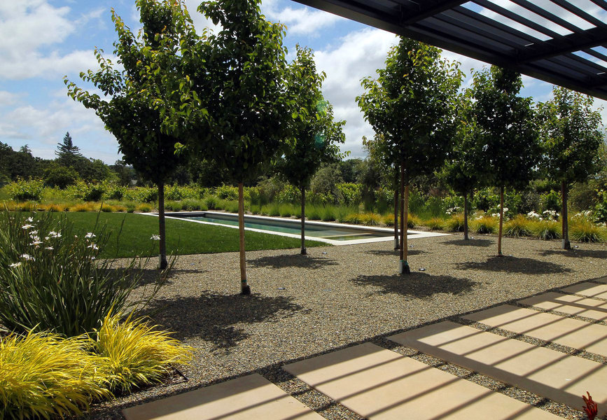 Sonoma — custom residential architecture by OXBStudio Architects, Marin County (photo 7)