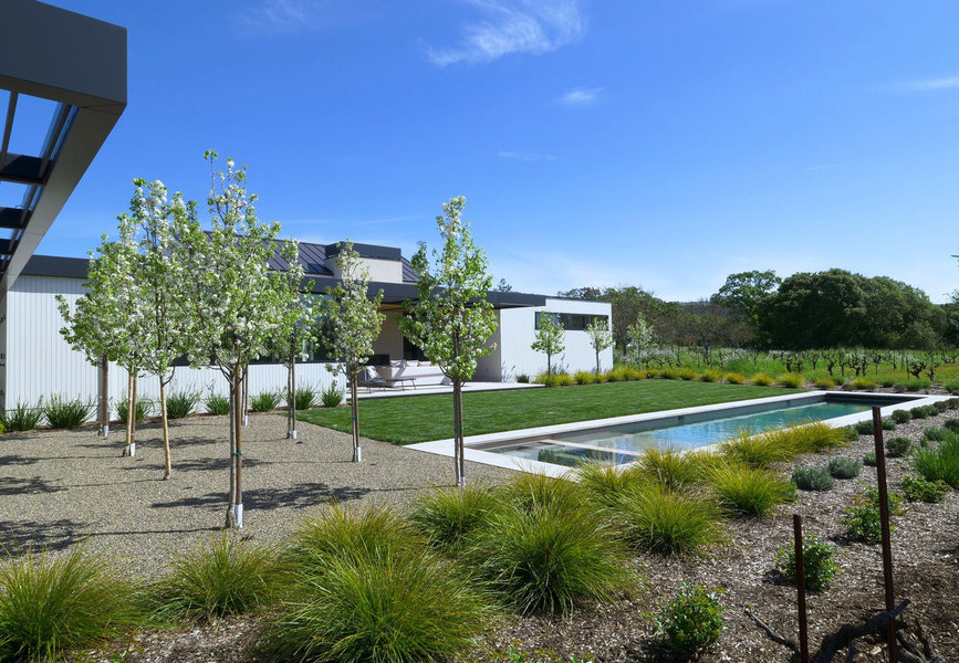 Sonoma — custom residential architecture by OXBStudio Architects, Marin County (photo 9)
