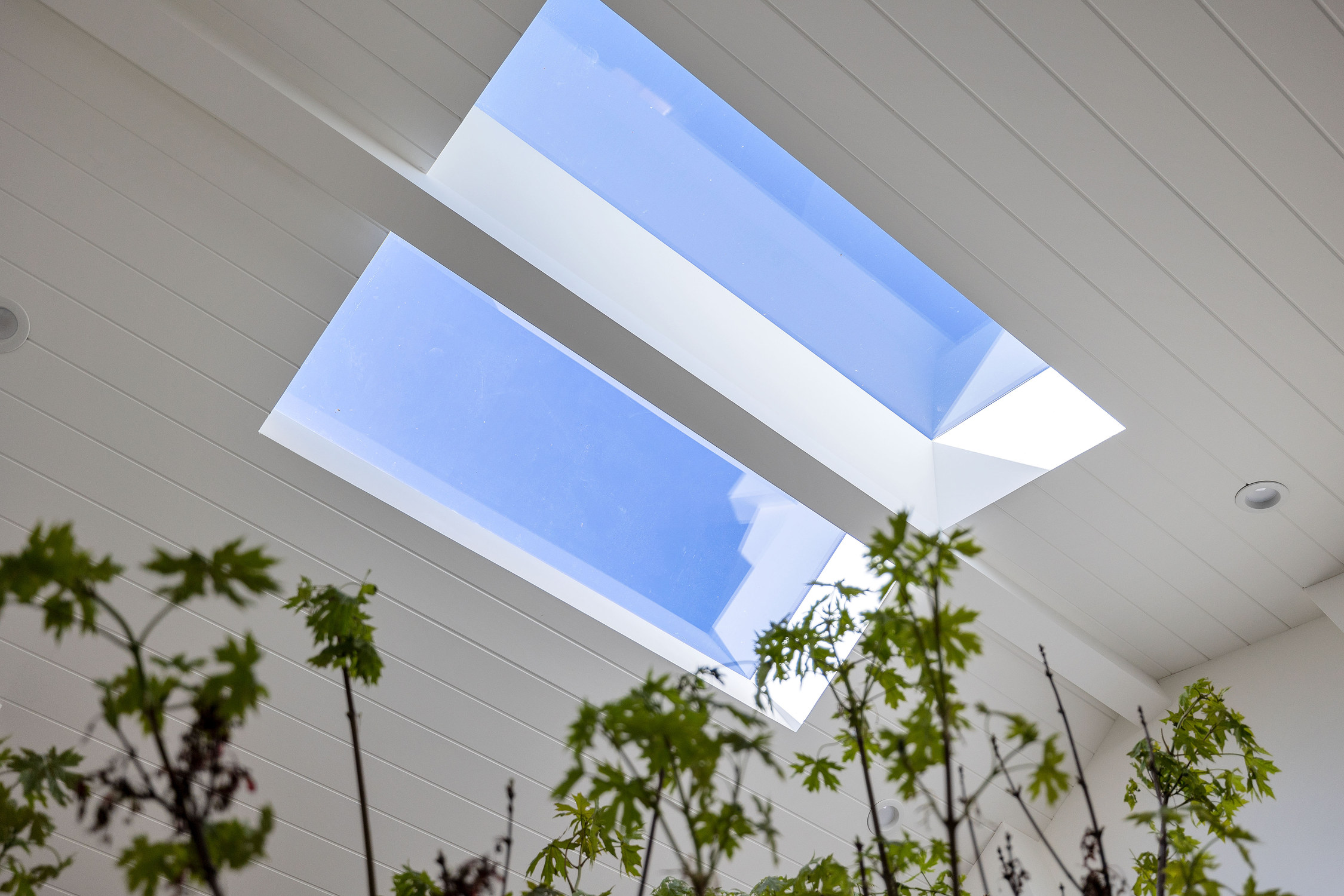 Sycamore Park 2 — custom residential architecture by OXBStudio Architects, Marin County (photo 5)